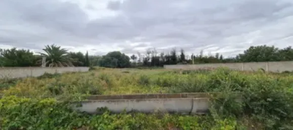 Terrain à Chartered Community of Navarre, Spain 2203m² No. 118430 4