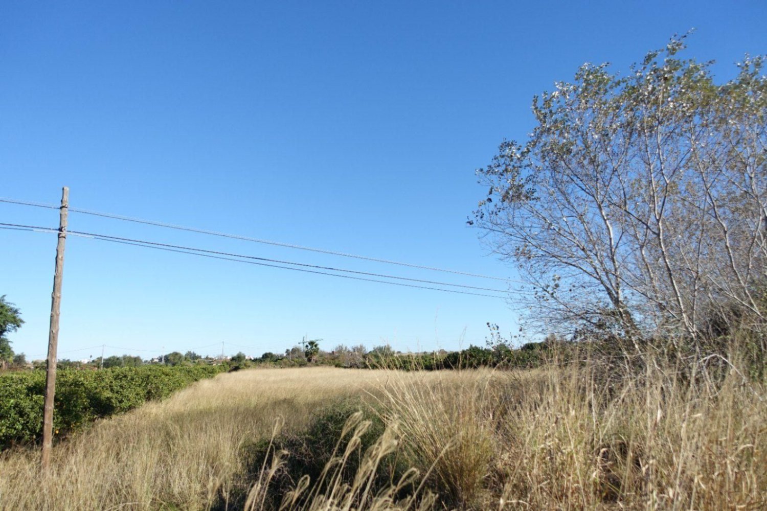 Земельный участок 5334м² в Аликанте, Испания № 245291