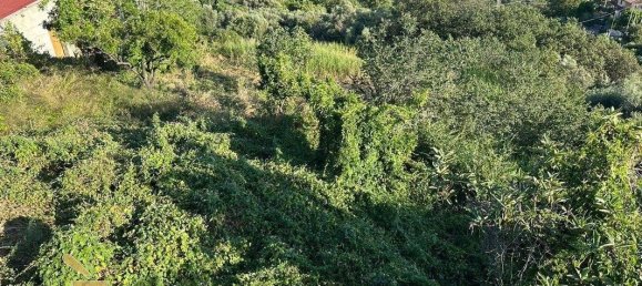 3 bedrooms House in Joppolo, Italy No. 273887 4