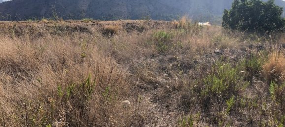 10122m² Land in Bolulla, Spain No. 100316 5