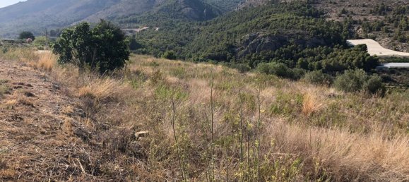 10122m² Land in Bolulla, Spain No. 100316 7