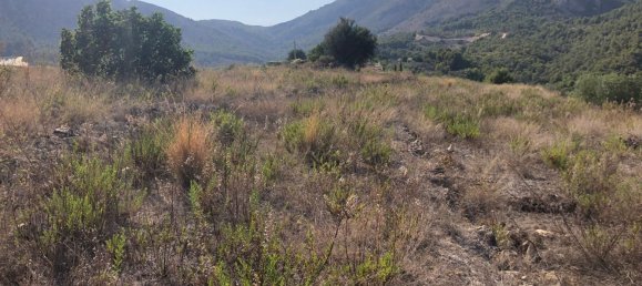 10122m² Land in Bolulla, Spain No. 100316 8