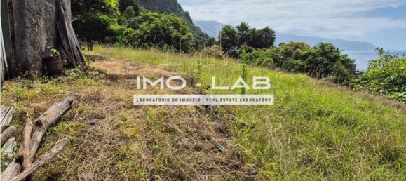 2 Schlafzimmer Haus in Sao Vicente, Portugal, Nr. 350615 28