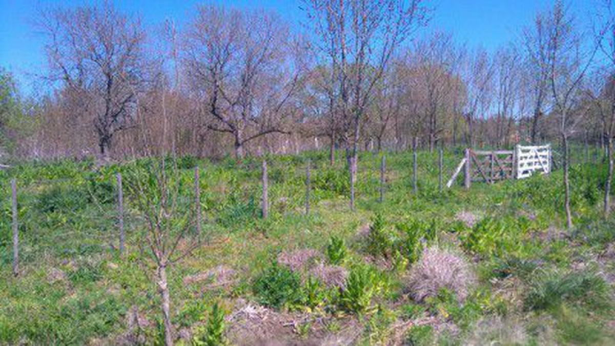 Grundstück in Chascomus, Argentina, Nr. 45181