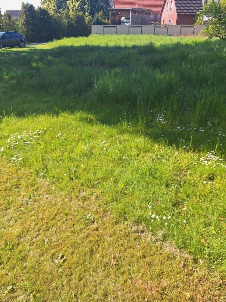  Land in Luchow-Dannenberg, Germany No. 357583