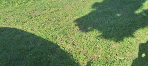  Land in Luchow-Dannenberg, Germany No. 357583 2