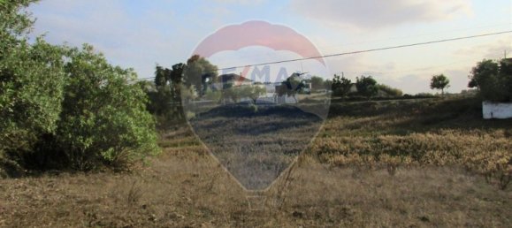 743m² Land in Cartaxo, Portugal No. 94955 9