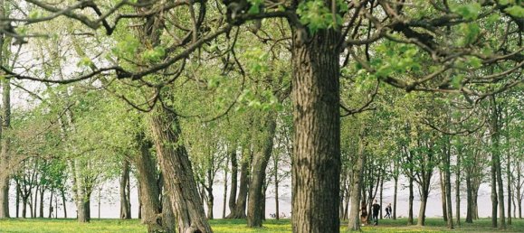 2-salle Maison à Sardinia, Italy No. 243072 44