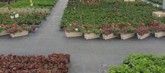 Casa de 4 dormitorios en Thionville, France No. 86321 19