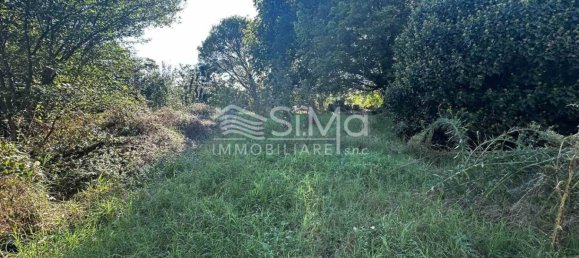 6 bedrooms House in Castello d'Argile, Italy No. 74572 8