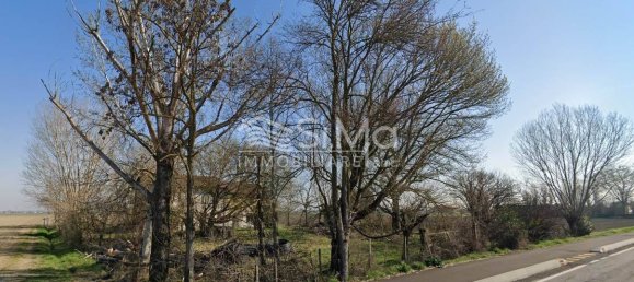 6 bedrooms House in Castello d'Argile, Italy No. 74572 2