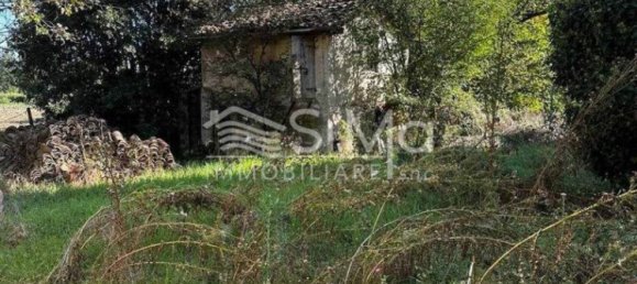 6 bedrooms House in Castello d'Argile, Italy No. 74572 9