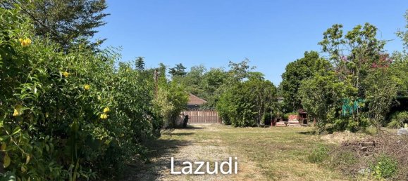 6 bedrooms Cafe / restaurant in Chiang Rai, Thailand No. 24630 7