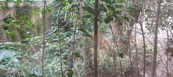 918m² Property in Athens, Greece No. 5172 10