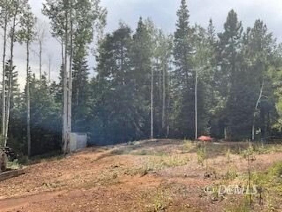 3 غرف نوم منزل في Duck Creek Village, USA رقم 390477