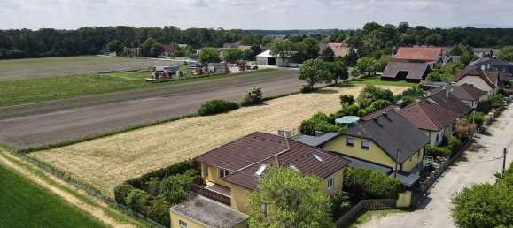 4 Schlafzimmer Haus in Groß-Enzersdorf, Austria, Nr. 130052 2