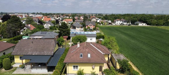 4 Schlafzimmer Haus in Groß-Enzersdorf, Austria, Nr. 130052 24