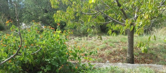 Villa de 5 dormitorios en Maratea, Italy No. 167178 15