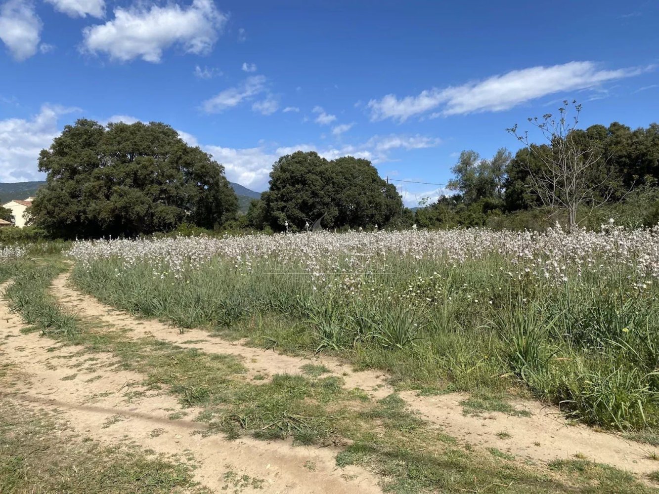 Terreno em Ghisonaccia, France 1173 m² N.º 217887