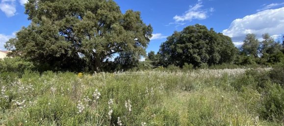 Terreno em Ghisonaccia, France 1173 m² N.º 217887 2