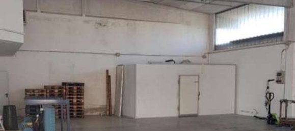 388m² Warehouse in San Pietro Mosezzo, Italy No. 360329 4