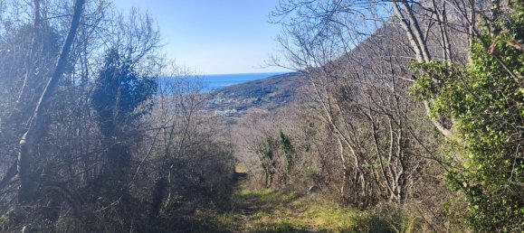 8164m² Hotel in Bar, Montenegro No. 3 5