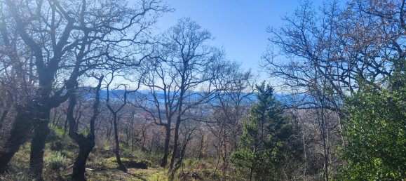 8164m² Hotel in Bar, Montenegro No. 3 10