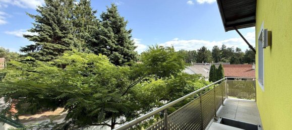 5 rooms House in Wolkersdorf im Weinviertel, Austria No. 208182 13