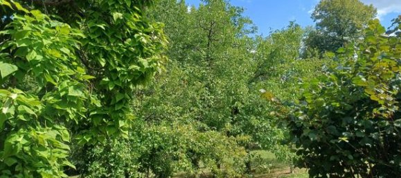 5 bedrooms House in Chalais, France No. 301659 4