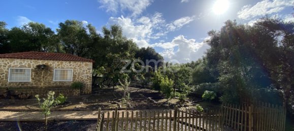 10 chambres Maison à Sintra, Portugal No. 164069 37