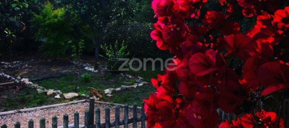 10 chambres Maison à Sintra, Portugal No. 164069 38