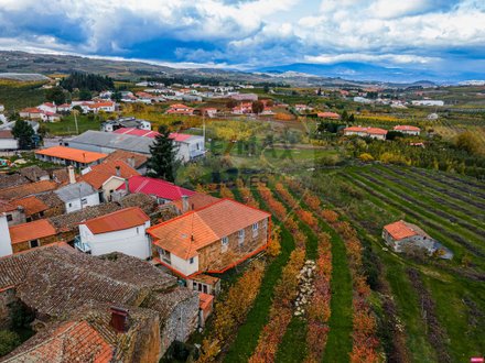 3 bedrooms House in Armamar, Portugal No. 186030