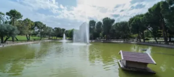 3 bedrooms Apartment in Valdemoro, Spain No. 178779 18