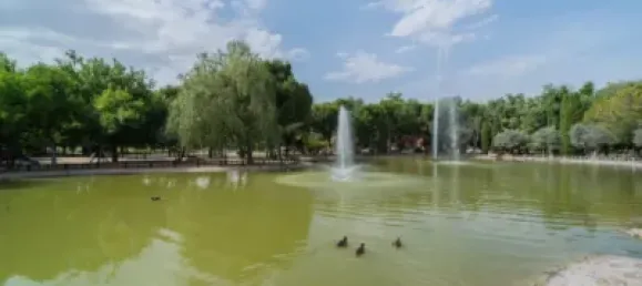 3 bedrooms Apartment in Valdemoro, Spain No. 178779 20