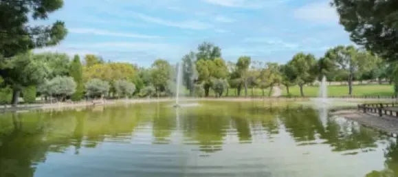 3 bedrooms Apartment in Valdemoro, Spain No. 178779 16