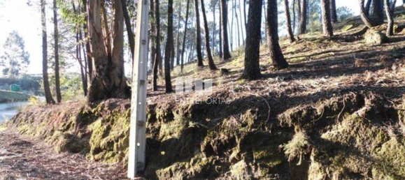 Земельный участок 10000м² в Марку ди Канавезиш, Португалия № 59569 5