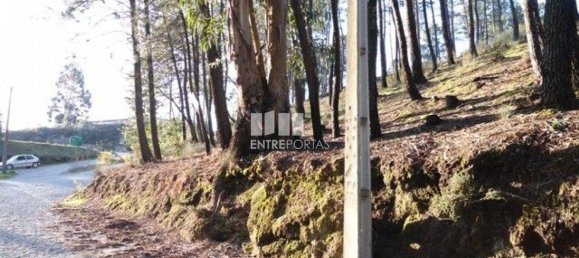 Земельный участок 10000м² в Марку ди Канавезиш, Португалия № 59569 6