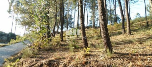 Земельный участок 10000м² в Марку ди Канавезиш, Португалия № 59569 7