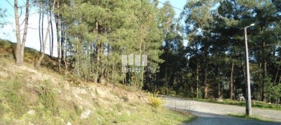 Земельный участок 10000м² в Марку ди Канавезиш, Португалия № 59569 2