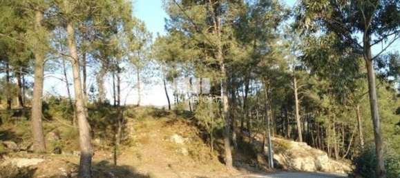 Земельный участок 10000м² в Марку ди Канавезиш, Португалия № 59569 8