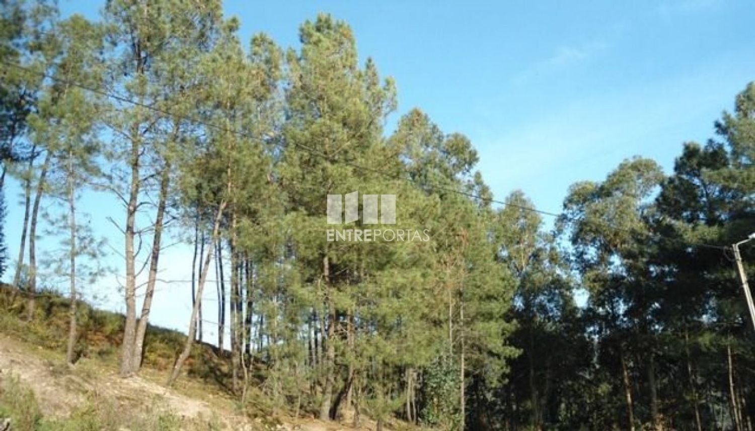 Земельный участок 10000м² в Марку ди Канавезиш, Португалия № 59569