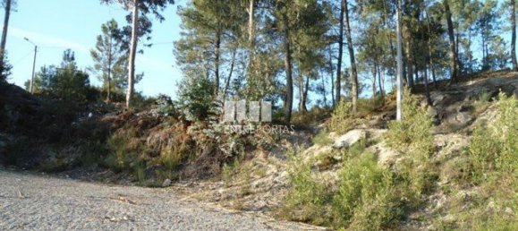 Земельный участок 10000м² в Марку ди Канавезиш, Португалия № 59569 3