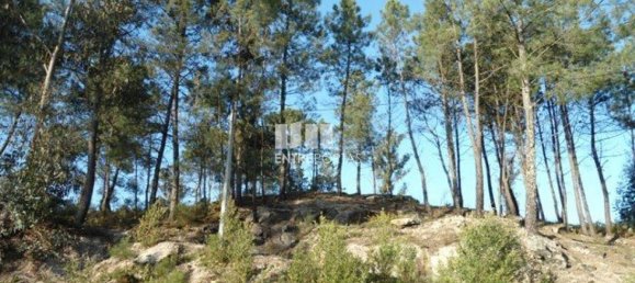 Земельный участок 10000м² в Марку ди Канавезиш, Португалия № 59569 4