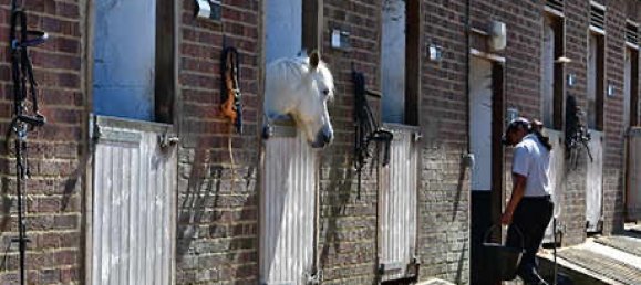 Дом с 4 спальнями в Энфилд, Великобритания № 3296 12