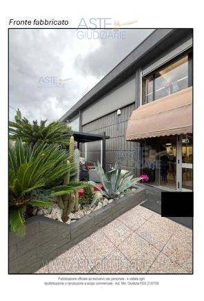 1 room Warehouse in Camaiore, Italy No. 48049