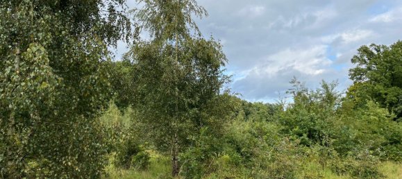  Land in Nienburg, Germany No. 292573 13