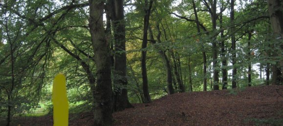  Land in Nienburg, Germany No. 292573 14