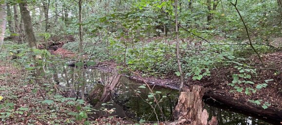  Land in Nienburg, Germany No. 292573 4