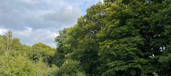  Land in Nienburg, Germany No. 292573 6