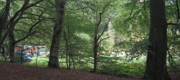  Land in Nienburg, Germany No. 292573 15